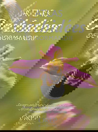 Atlas des orchidées de Normandie