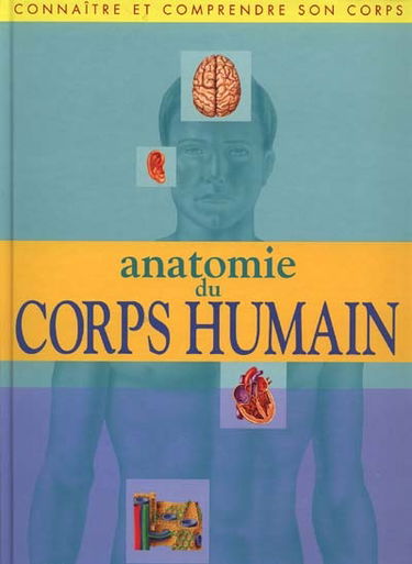 Anatomie du corps humain : connaître et comprendre son corps