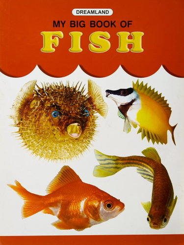 Couverture de My Big Book Of Fishes