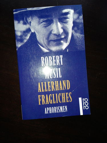 Allerhand Fragliches - Aphorismen (Livre en allemand)