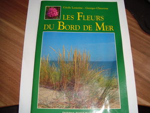 Les fleurs du bord de mer