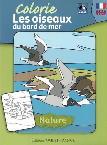 Colorie les oiseaux du bord de mer