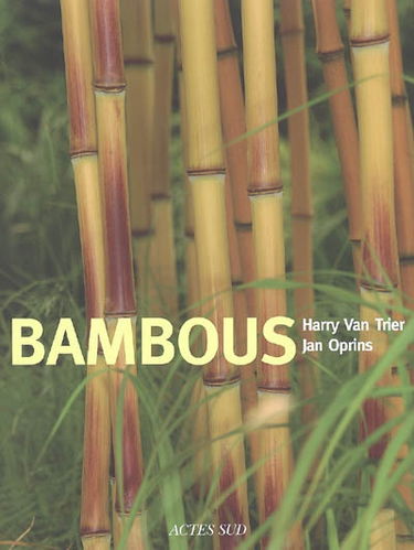 Bambous