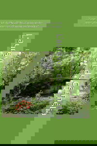 L'aurevoir de Carmélia: "Sous le ciel de l'Île-d'Elle : Guérison des âmes et promesses d'avenir en Vendée"