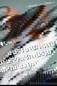 L'EDUCATION DE L'ÉPAGNEUL PAPILLON: Toutes les astuces pour un Épagneul Papillon bien éduqué