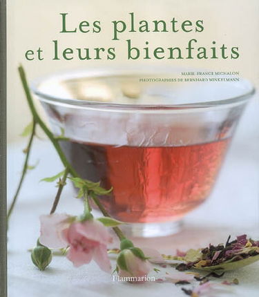 Les plantes et leurs bienfaits