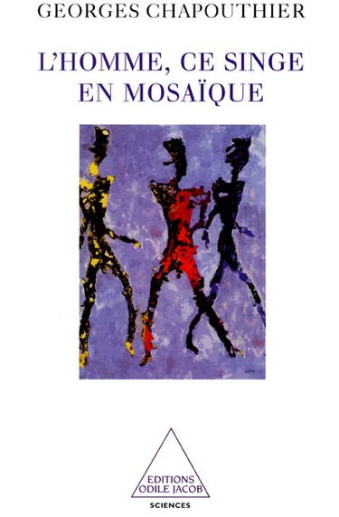 L'homme, ce singe en mosaïque