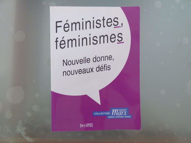 Féministes, féminismes : nouvelle donne, nouveaux défis