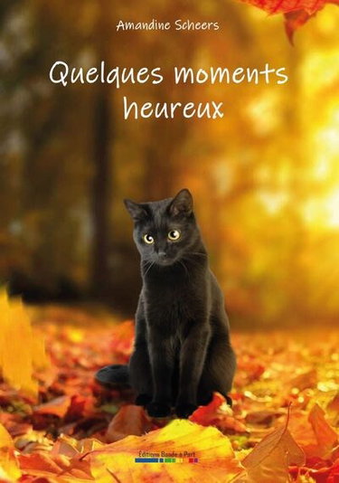 Couverture de Quelques moments heureux