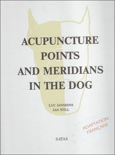 Acupuncture points and meridians in the dog