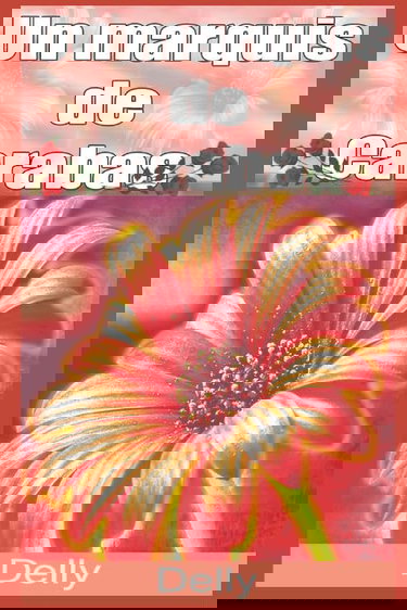 Un marquis de Carabas