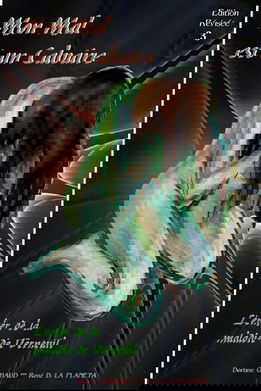 Mon mal est un calvaire: L'enfer de la maladie de Verneuil