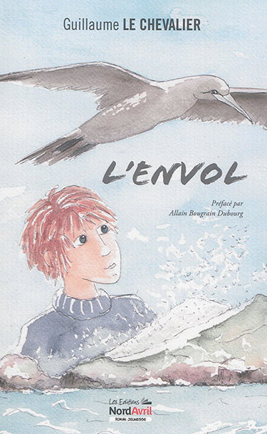 Couverture de L'envol