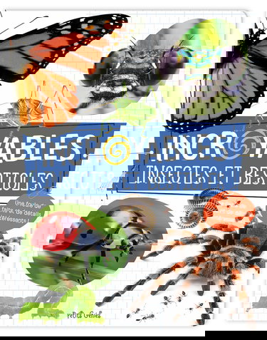 Incroyables insectes et bestioles