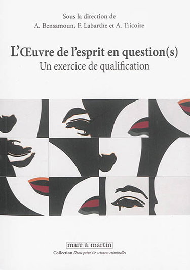 Couverture de L'oeuvre de l'esprit en question(s) : un exercice de qualification : actes de colloque