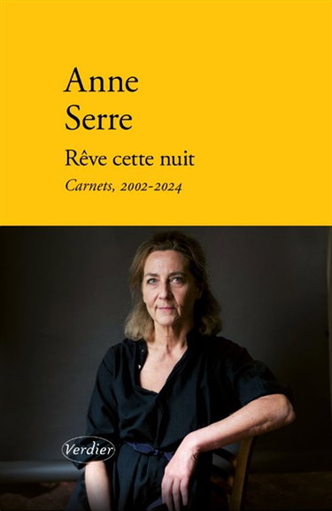 Rêve cette nuit : carnets, 2002-2024