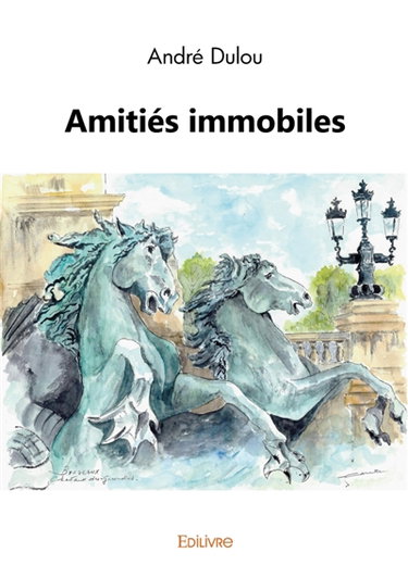Amitiés immobiles