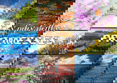 Les plus belles promesses de la Bible