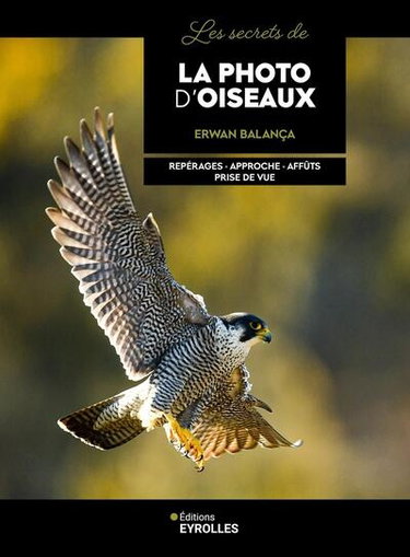 Les secrets de la photo d'oiseaux : repérages, approche, affûts, prise de vue