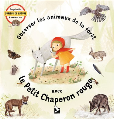 Observer les animaux de la forêt avec le Petit Chaperon rouge