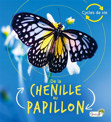 Couverture de De la chenille au papillon