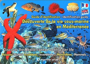 Couverture de Découverte de la vie sous-marine en Méditerranée : poissons, invertébrés, mammifères... : guide d'identification. Discover the Mediterranean underwater life : fishes, invertebrates, mammals... : identification guide