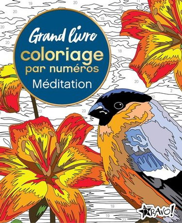Grand livre de coloriage par numéros : Méditation