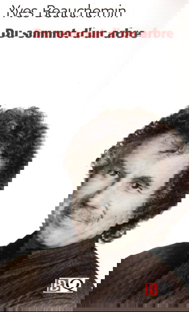 Du sommet d'un arbre