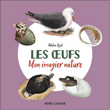 Couverture de Les oeufs