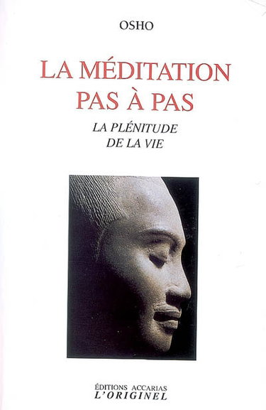 La méditation pas à pas : la plénitude de la vie : discours spontanés donnés lors d'une session de méditation