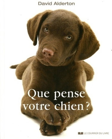 Couverture de Que pense votre chien ? : comprendre le meilleur ami de l'homme