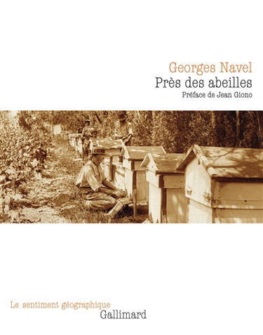 Couverture de Près des abeilles