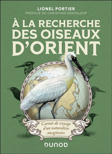Couverture de A la recherche des oiseaux d'Orient : carnet de voyage d'un naturaliste imaginaire
