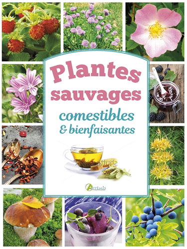 Couverture de Plantes sauvages comestibles & bienfaisantes par Collectif