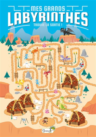 Couverture de Mes grands labyrinthes : trouve la sortie !