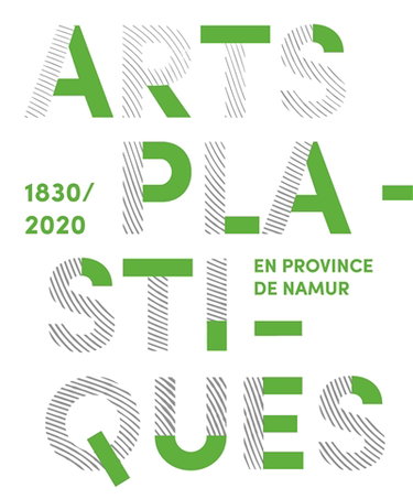 Couverture de Arts plastiques en province de Namur (1830-2020) par Collectif
