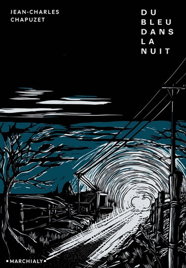 Du bleu dans la nuit : vingt-cinq heures dans la vie d'un flic