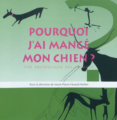 Couverture de Pourquoi j'ai mangé mon chien : une archéologue des animaux