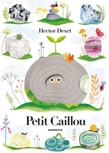 Couverture de Petit caillou