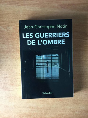 LES GUERRIERS DE L'OMBRE