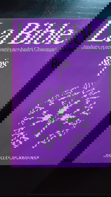 La Bible, tome 8 : Rois, volume 1