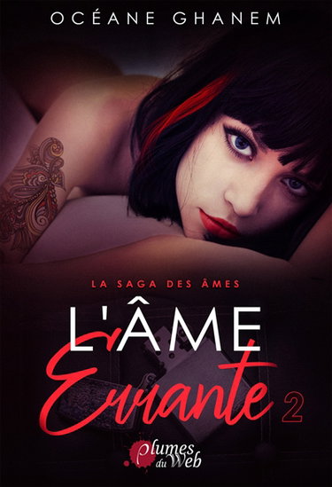 La saga des âmes. Vol. 4. L'âme errante. Vol. 2
