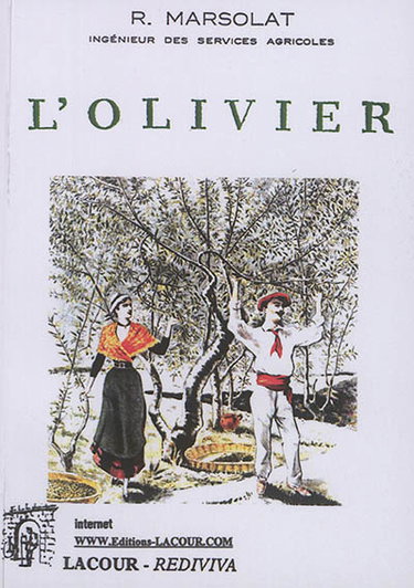 L'olivier
