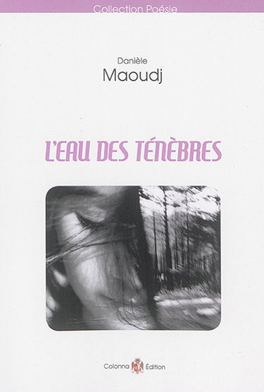 Couverture de L'eau des ténèbres
