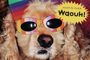 Couverture de Waouh !