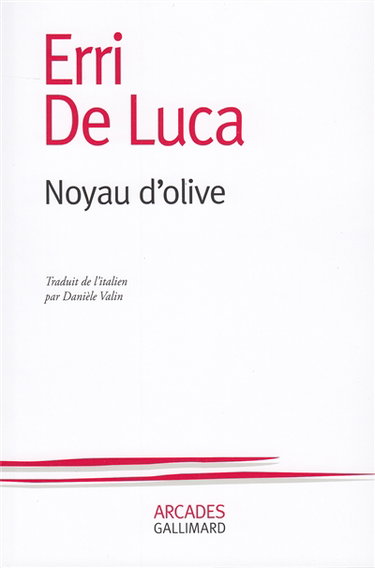 Noyau d'olive