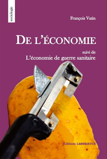 De l'économie : le mot et la chose, la forme et la substance. L'économie de guerre sanitaire