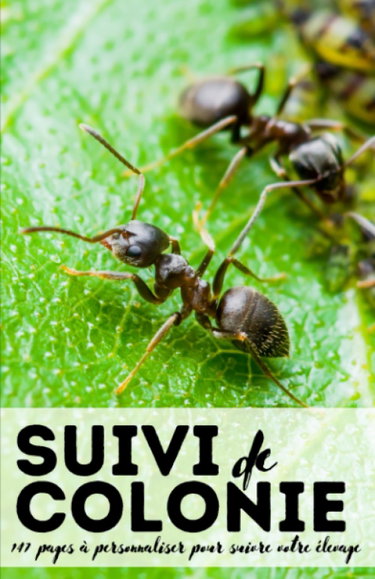 Couverture de Carnet de suivi de colonie de fourmis pour myrmécologues amateurs et passionés: Gardez une trace de l'évolution de votre fourmilière à travers près de 150 pages de fiches personalisables