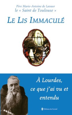Le lis immaculé : à Lourdes, ce que j'ai vu et entendu