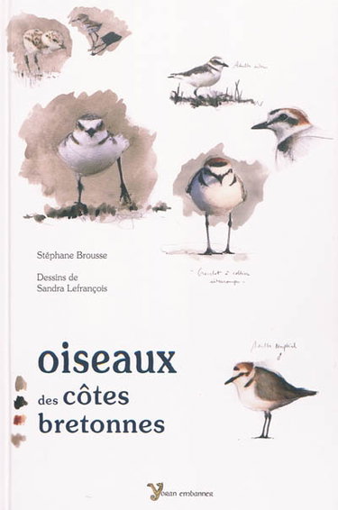 Couverture de Oiseaux des côtes bretonnes